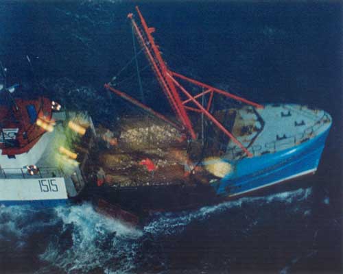 901 boat image